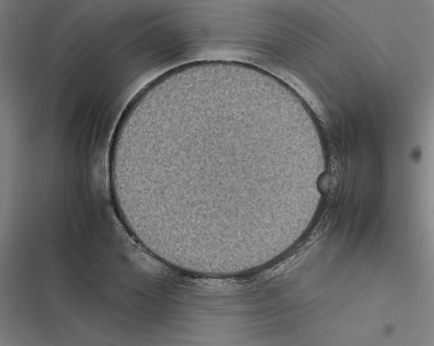 X0000116580980201001211301