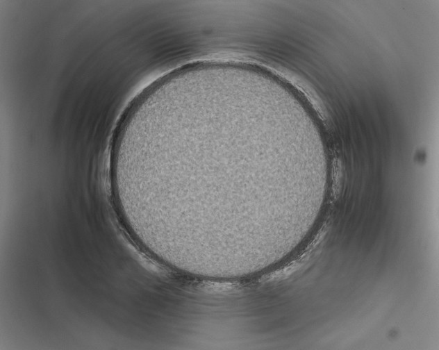 X0000116580982201001211301