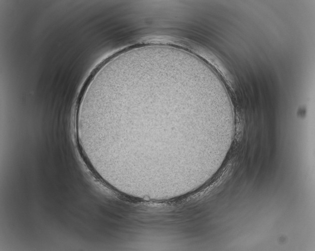 X0000116580984201001211301