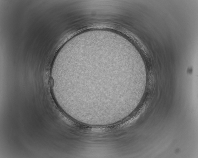 X0000116580985201001211301