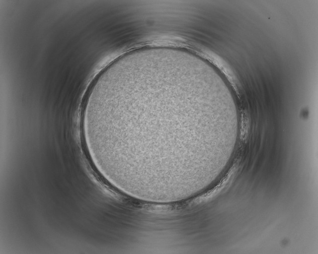 X0000116580986201001211301