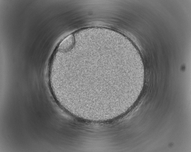 X0000116580987201001211301