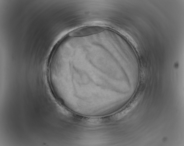 X0000116580989201001211301
