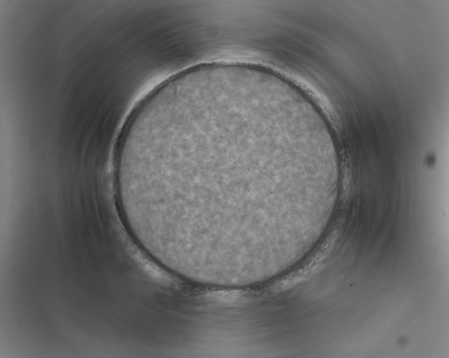 X0000116580990201001211301