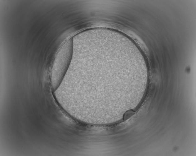 X0000116580993201001211301