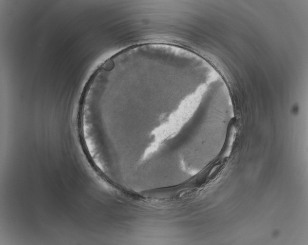 X0000116580995201001211301