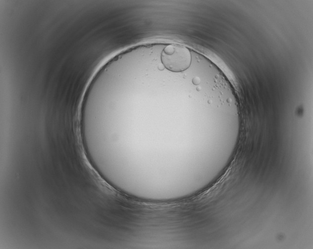 X0000116580996201001211301