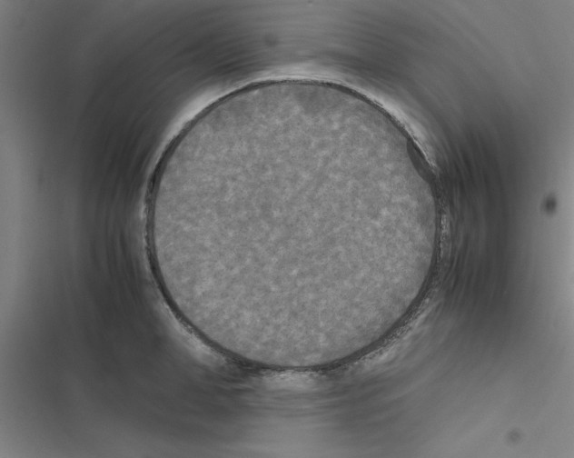 X0000116580998201001211301