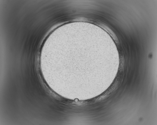 X0000116581000201001211301