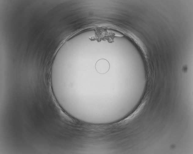 X0000116581001201001211301