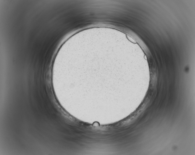 X0000116581004201001211301