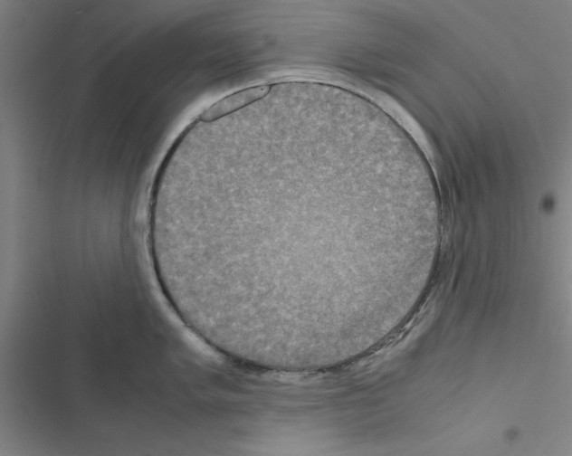 X0000116581005201001211300