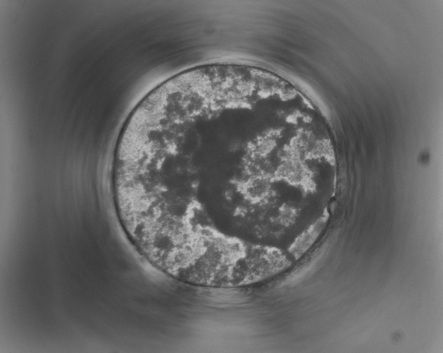 X0000116581007201001211300