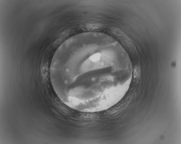 X0000116581011201001211300