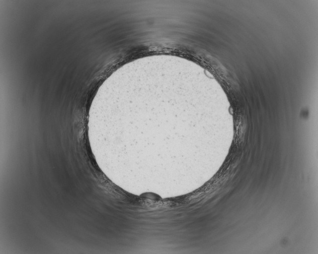 X0000116581012201001211300