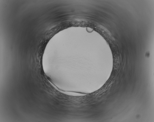 X0000116581013201001211300