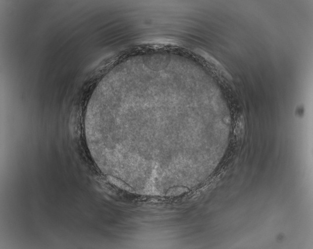 X0000116581014201001211300