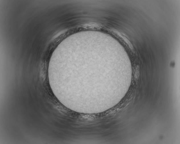 X0000116581015201001211300