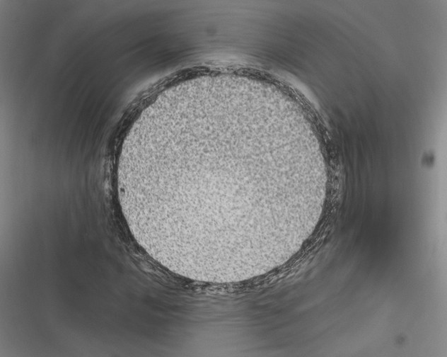 X0000116581016201001211300