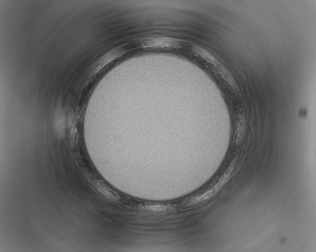 X0000116581017201001211300
