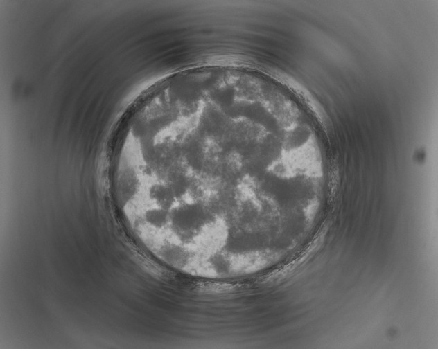X0000116581019201001211300