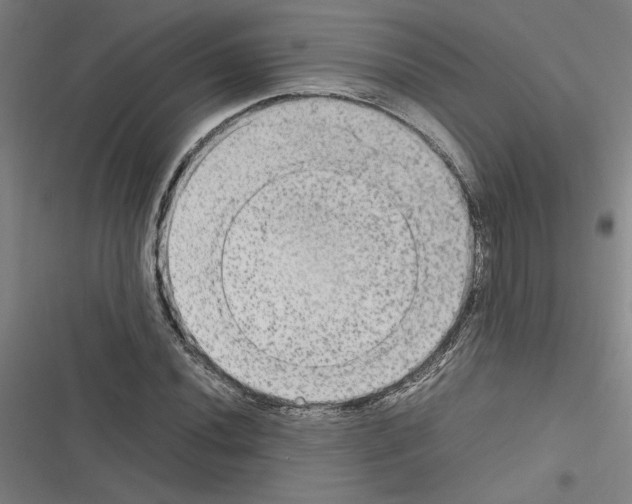 X0000116581020201001211300