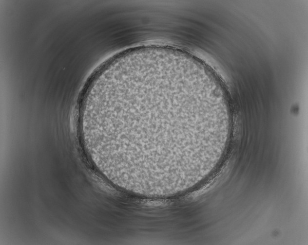 X0000116581021201001211300