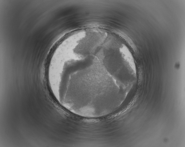 X0000116581023201001211300