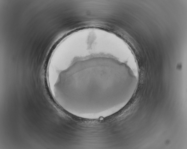 X0000116581024201001211300