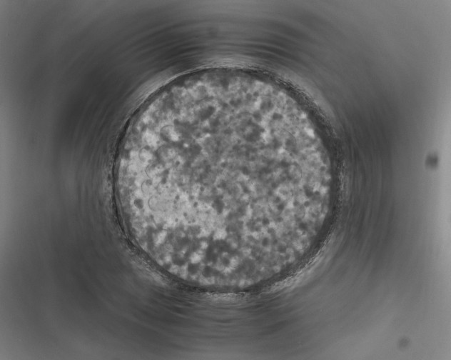 X0000116581025201001211300