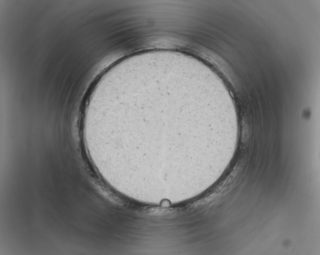 X0000116581026201001211300