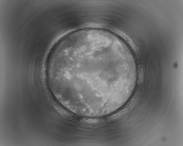 X0000116581027201001211300