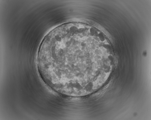 X0000116581028201001211300