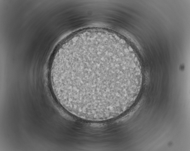 X0000116581029201001211300