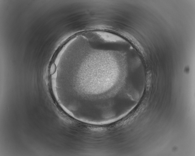 X0000116581031201001211300