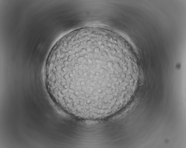 X0000116581032201001211300