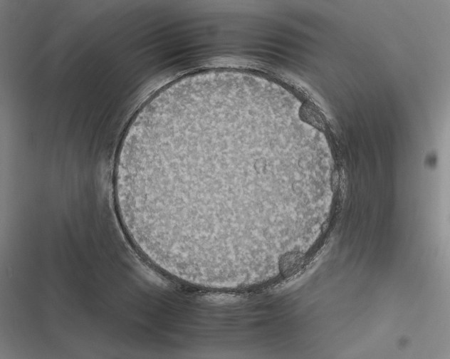 X0000116581033201001211300