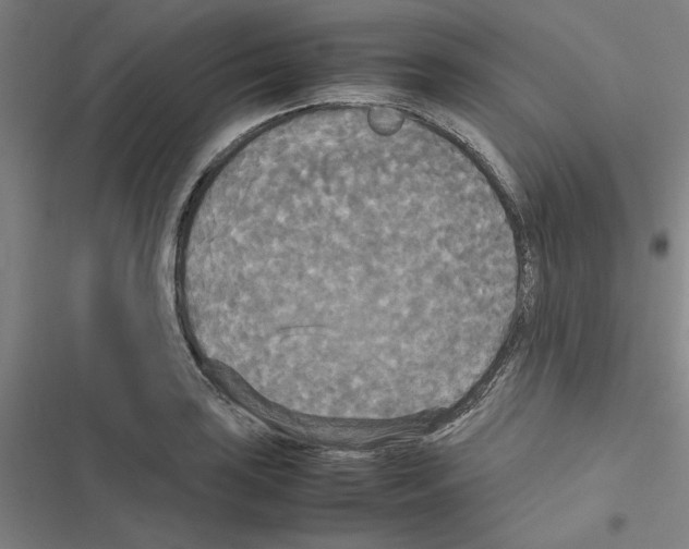 X0000116581035201001211300