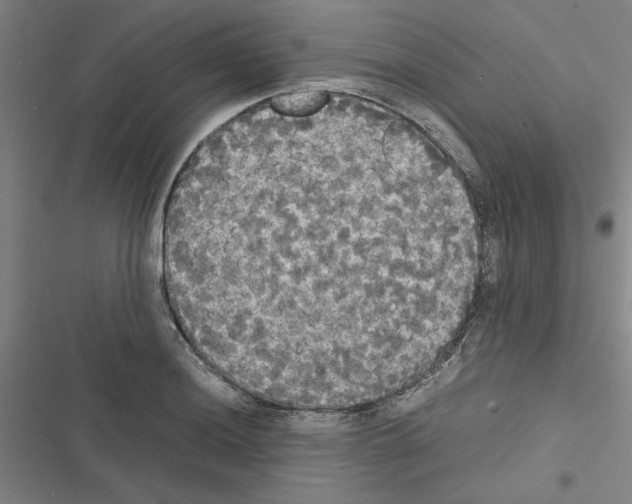 X0000116581036201001211300