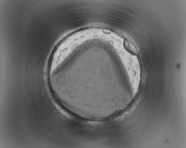 X0000116581037201001211300