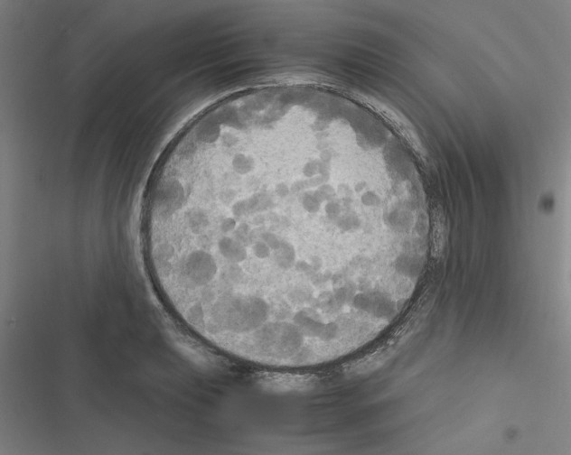 X0000116581039201001211300