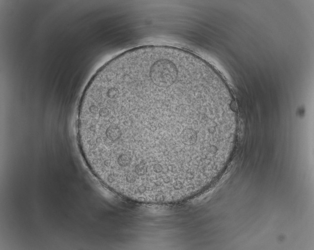 X0000116581040201001211300