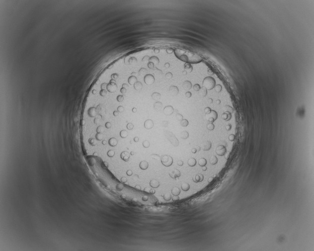 X0000116581041201001211300