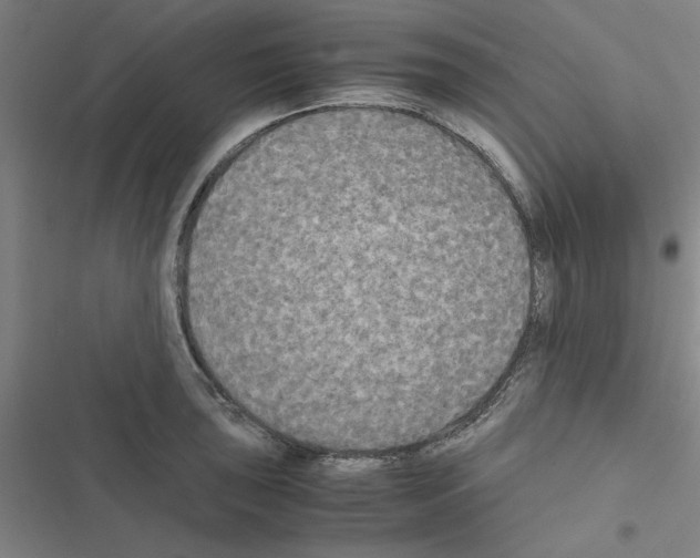 X0000116581043201001211300