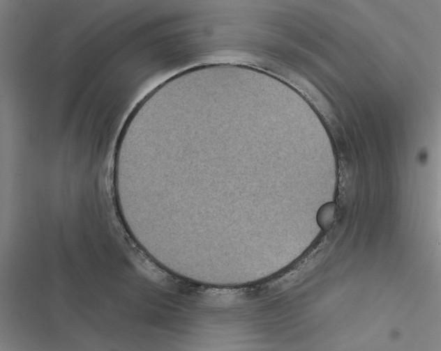 X0000116581044201001211300