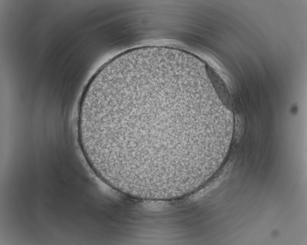 X0000116581046201001211300