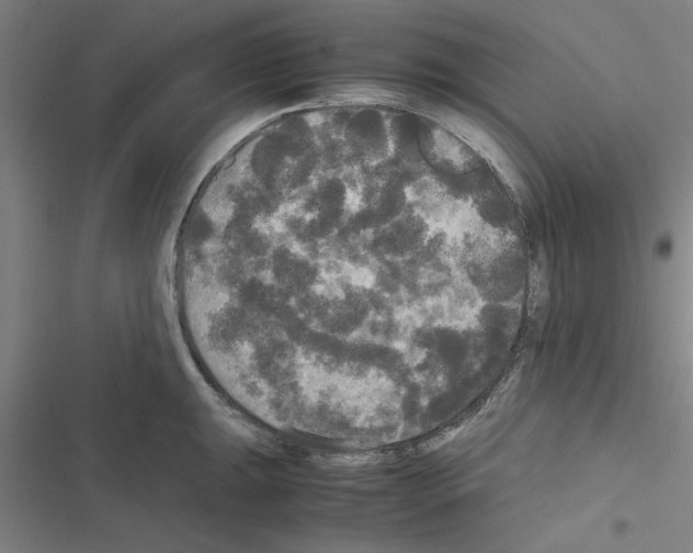 X0000116581047201001211300