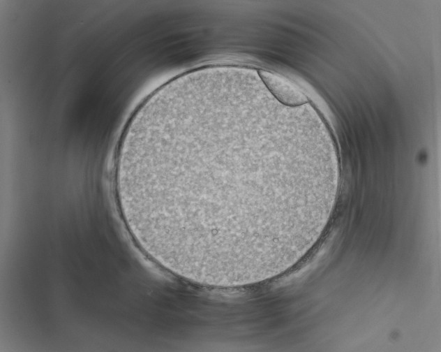 X0000116581053201001211300