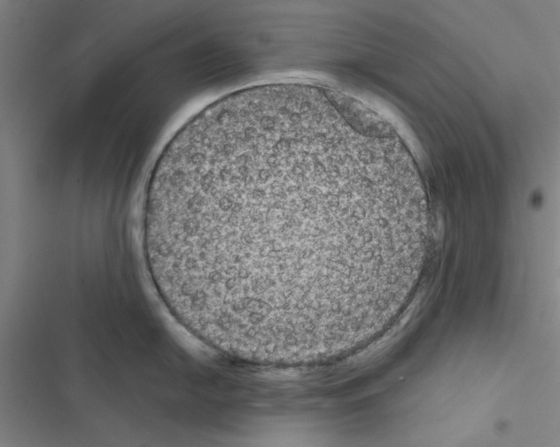 X0000116581054201001211300