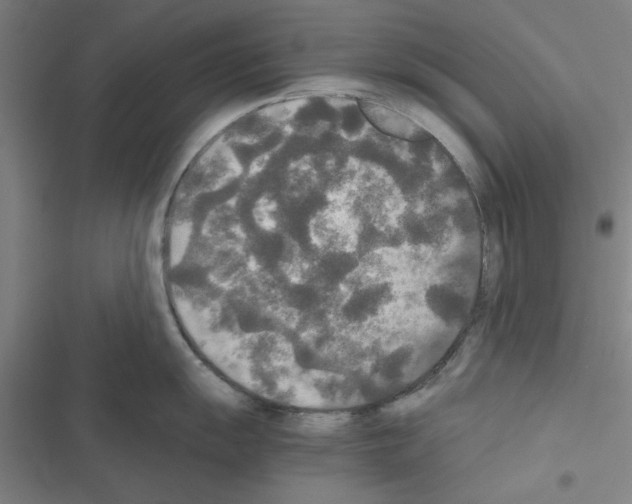 X0000116581055201001211300